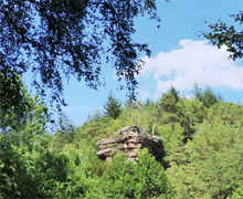 Elwetritsche Felsen