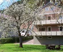 Ferienwohnung Pfälzerwald