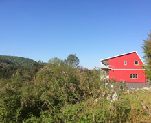 Ferienwohnung Pfälzerwald